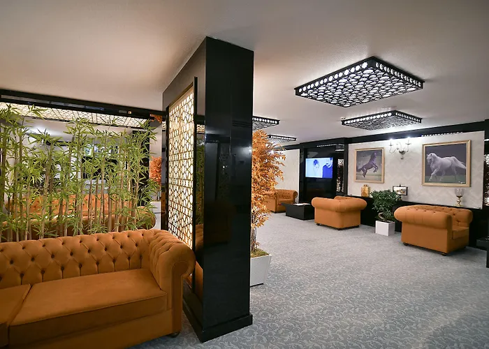 Sveo Business Ankara