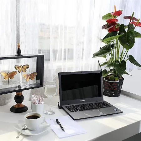 Güvenay Business Hotel 4*