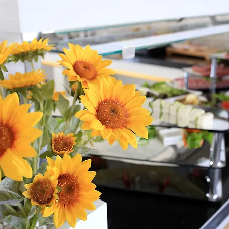 Отель Sveo Business 4*