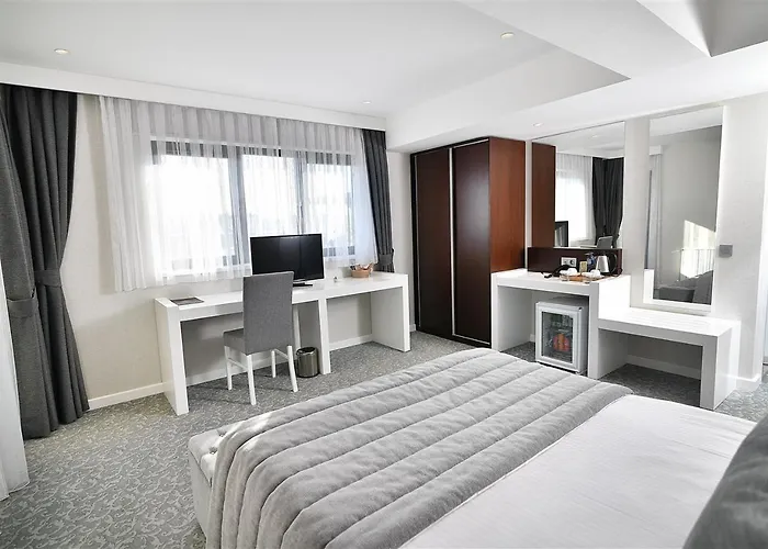 Sveo Business Hotel 4*